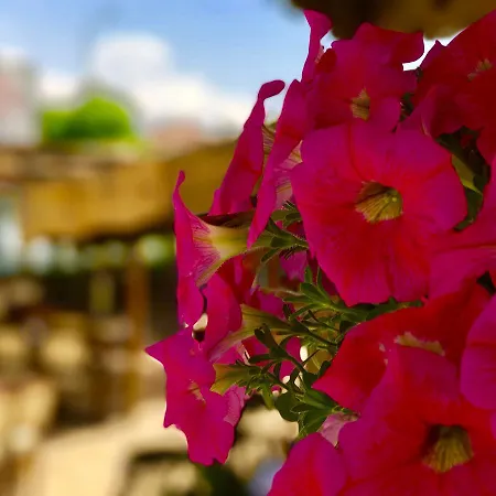 Nehir Апарт-отель