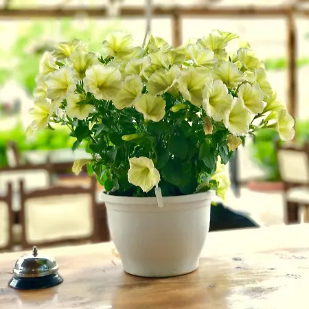 Апарт-отель Nehir Фетхие