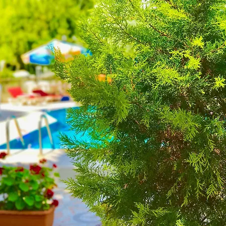 Nehir Апарт-отель Фетхие