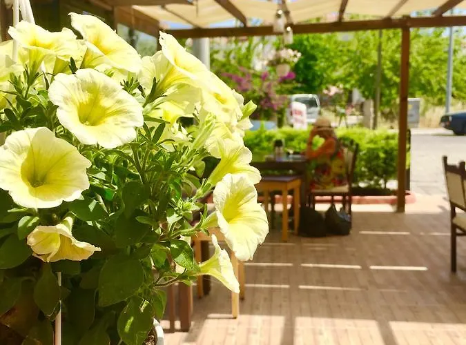 Lejlighedshotel Nehir Fethiye