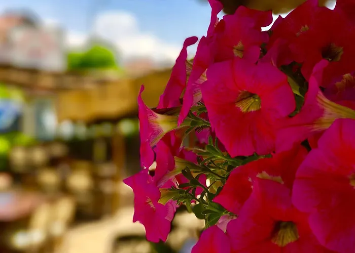 Nehir Lejlighedshotel